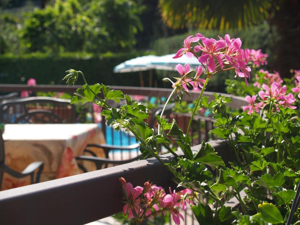 Hotel Casa Serena マルチェージネ エクステリア 写真